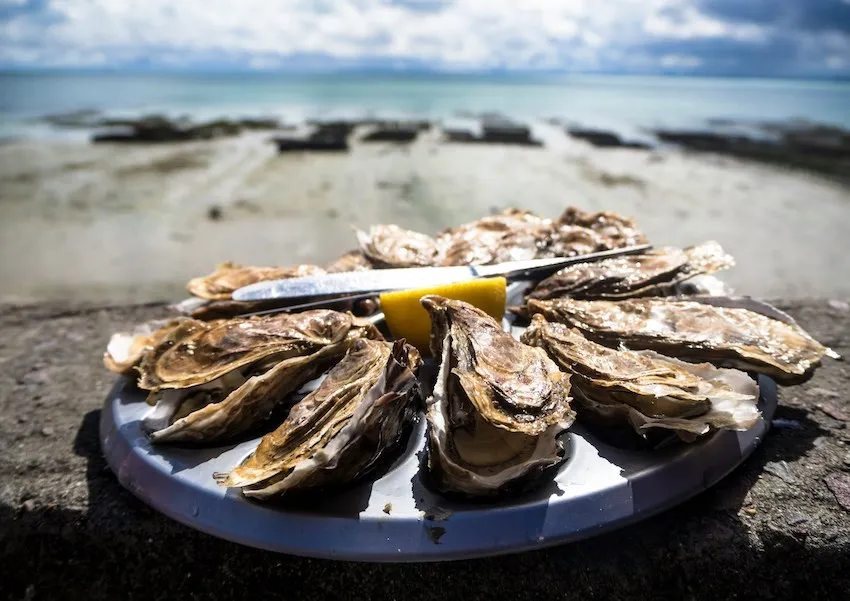 plat d'huîtres fraiches